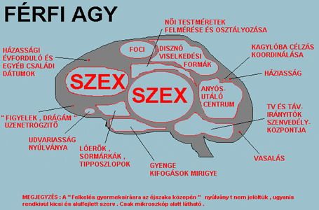ffi_agy.jpg